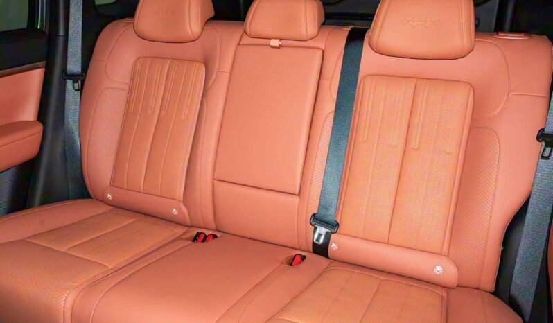 
								2025 BYD Leopard Titanium 7 DM-i 190KM 4WD ULTRA EDITION full									