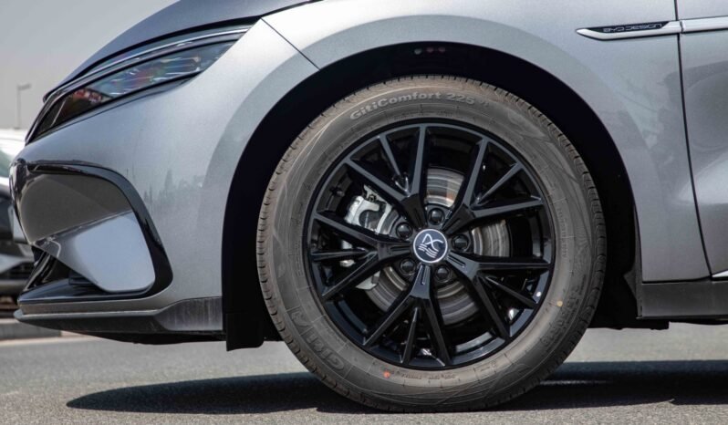 
								2025 BYD HAN DM-i 125KM ELITE EDITION full									