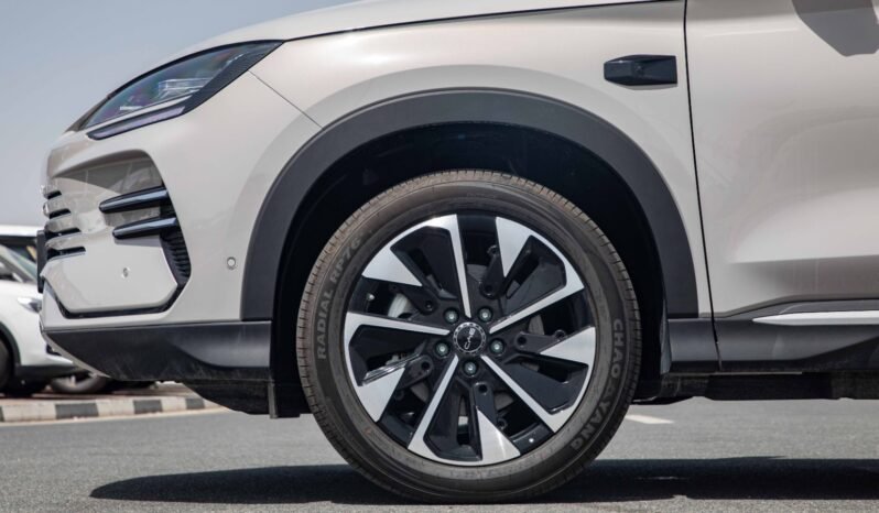 
								2025 BYD Song Plus DM-i 112KM Premium Edition full									