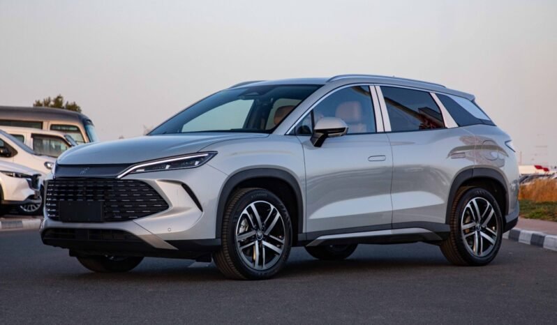 
								2025 BYD Song L DMI 112KM SURPASS full									