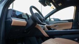 
										2025 BYD Song L DMI 112KM SURPASS full									