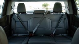 
										2025 Chevrolet Silverado V8 5.3L PICK-UP 4WD full									