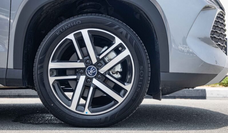 
								2025 BYD Song L DMI 160 KM SUPERIOR EDITION full									