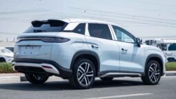 
										2025 BYD Song L SUPERIOR EDITION DM-i 160KM full									