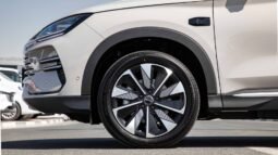 
										2025 BYD Song Plus FWD 112KM DM-i HONOR EDITION full									