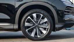 
										2025 BYD Song Plus FWD DM-i 112KM Premium Edition full									