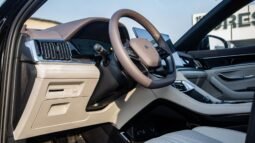 
										2025 BYD Song Plus FWD DM-i 112KM Premium Edition full									