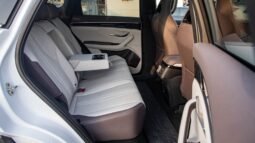 
										2025 BYD Song Plus FWD DM-i 112KM Premium Edition full									