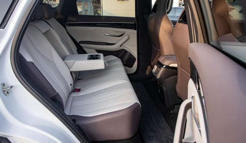 
								2025 BYD Song Plus FWD DM-i 112KM Premium Edition full									