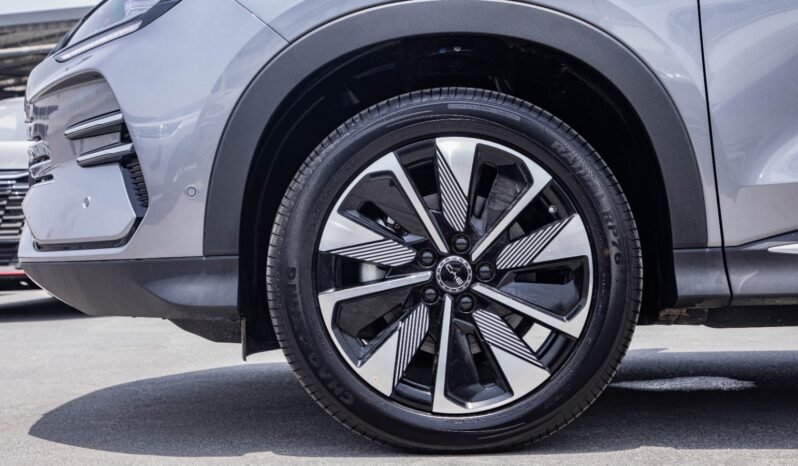 
								2025 BYD Song Plus FWD DM-i 112KM Premium Edition full									